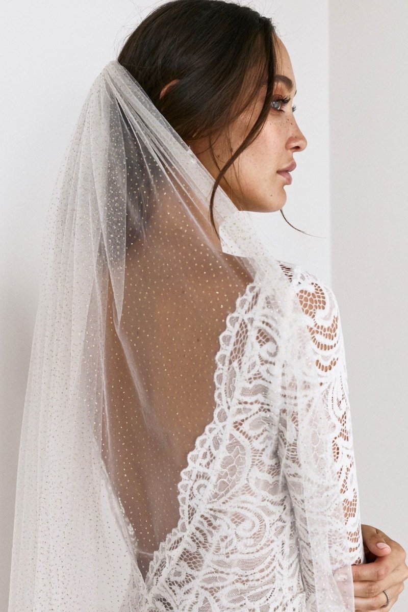 Vintage White Sparkle Tulle Cathedral Wedding Veil display picture 1