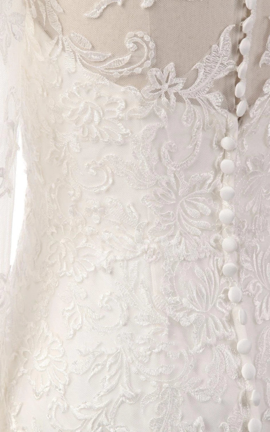 Mermaid Long Sleeve Lace Dress With Embroideries Illusion