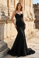 Royal Blue Lace Applique Long Mermaid Dress
