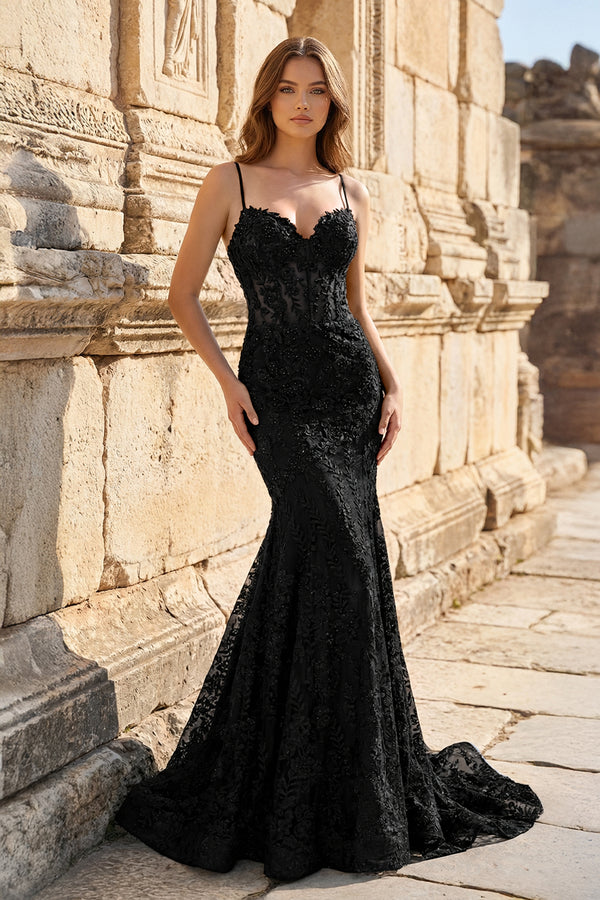 Royal Blue Lace Applique Long Mermaid Dress