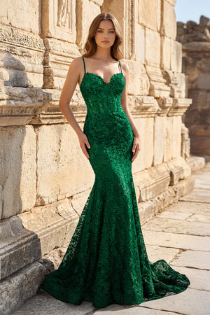 Royal Blue Lace Applique Long Mermaid Dress