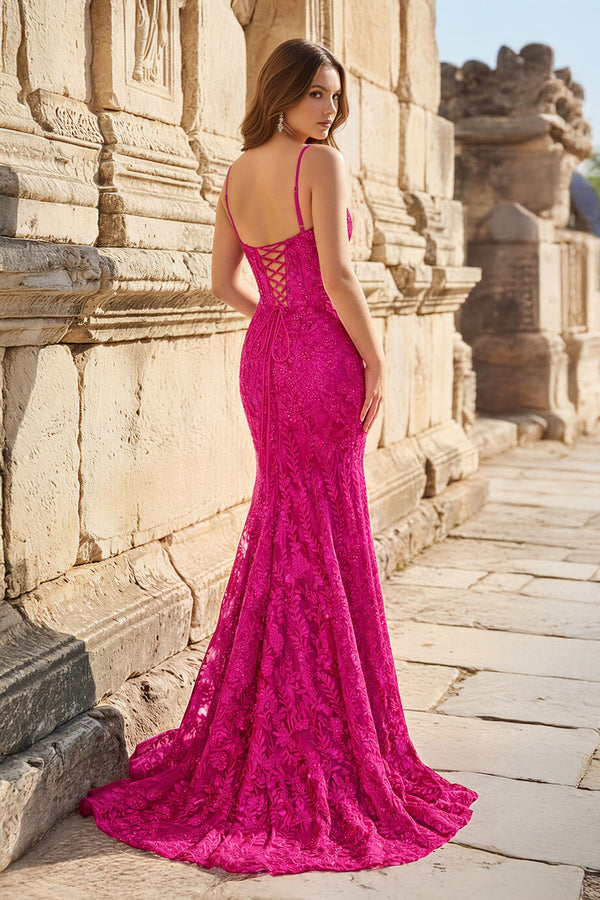 Royal Blue Lace Applique Long Mermaid Dress