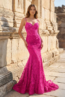 Royal Blue Lace Applique Long Mermaid Dress