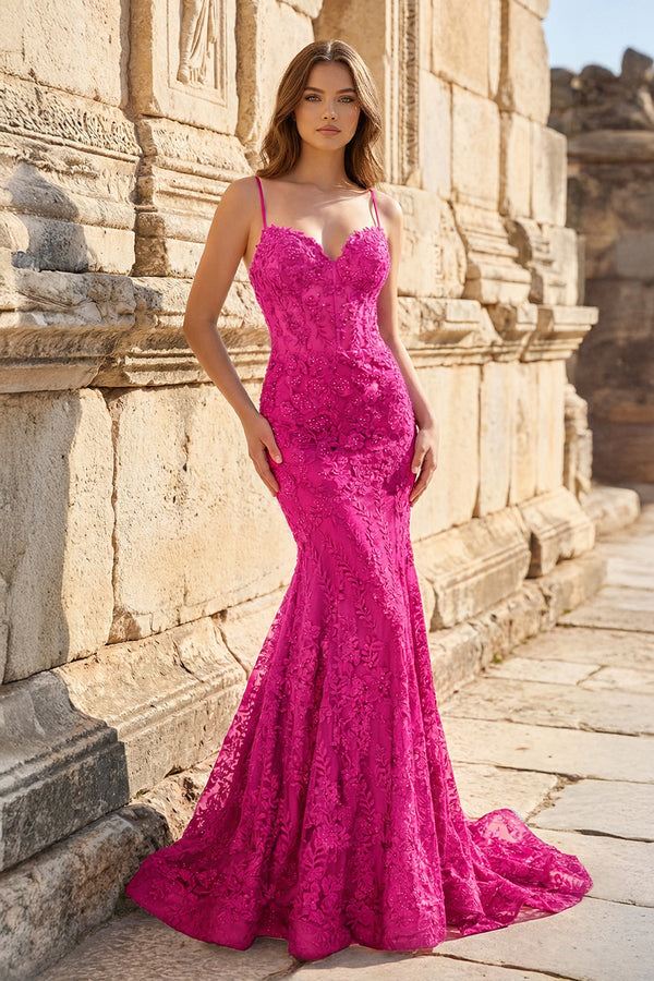Royal Blue Lace Applique Long Mermaid Dress