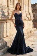 Royal Blue Lace Applique Long Mermaid Dress