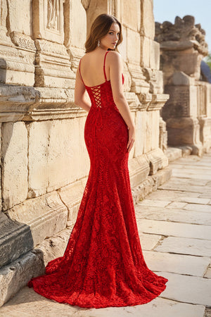 Royal Blue Lace Applique Long Mermaid Dress