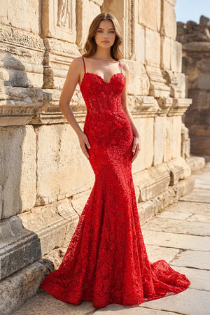 Royal Blue Lace Applique Long Mermaid Dress