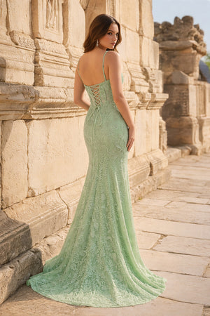 Royal Blue Lace Applique Long Mermaid Dress