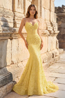Royal Blue Lace Applique Long Mermaid Dress