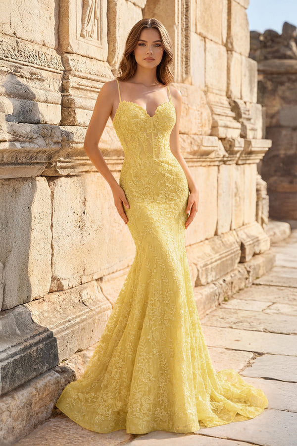 Royal Blue Lace Applique Long Mermaid Dress
