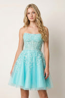 A-Line Tulle Lace Homecoming Dress with Appliques
