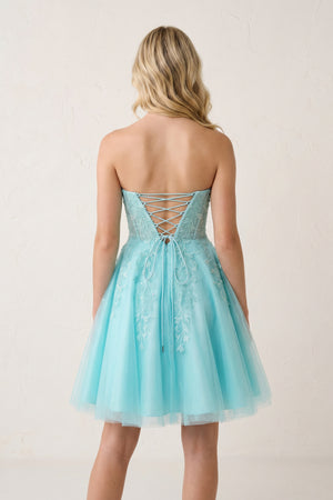 A-Line Tulle Lace Homecoming Dress with Appliques