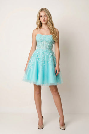 A-Line Tulle Lace Homecoming Dress with Appliques