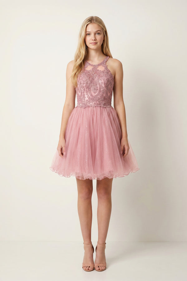 Pink Embellished Embroidery Tulle Short Homecoming Dress - KISSPROM
