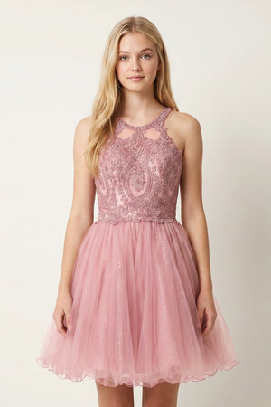 Pink Embellished Embroidery Tulle Short Homecoming Dress - KISSPROM