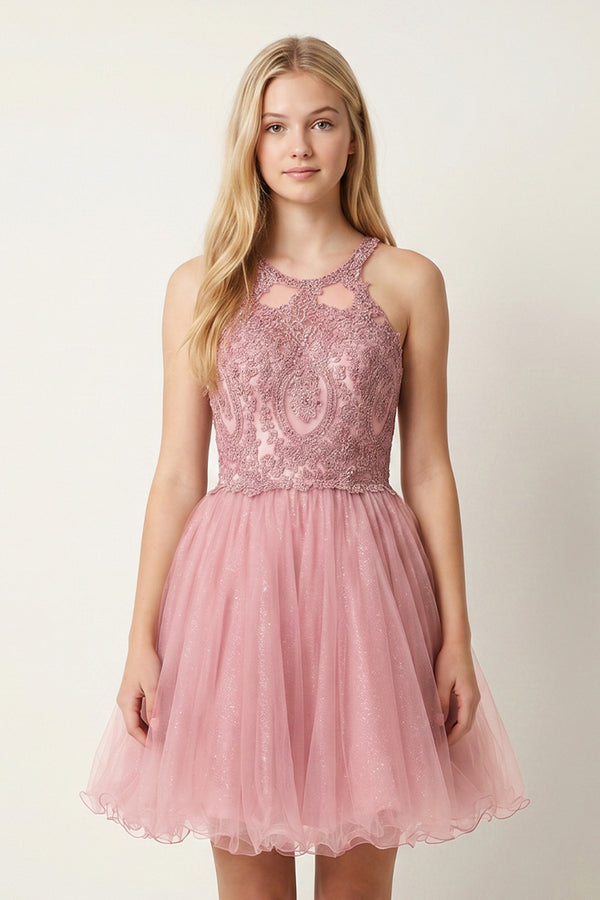 Pink Embellished Embroidery Tulle Short Homecoming Dress - KISSPROM