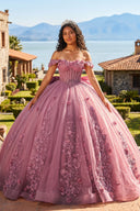 Off The Shoulder Lace Up Back Appliques Tulle Quinceanera Dress - KissProm