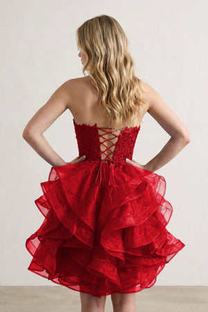 A-line Lace Appliques Organza Short Homecoming Dress - KissProm