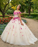 Romantic Heart Off - the - Shoulder Tulle Quinceañera Dress - KissProm