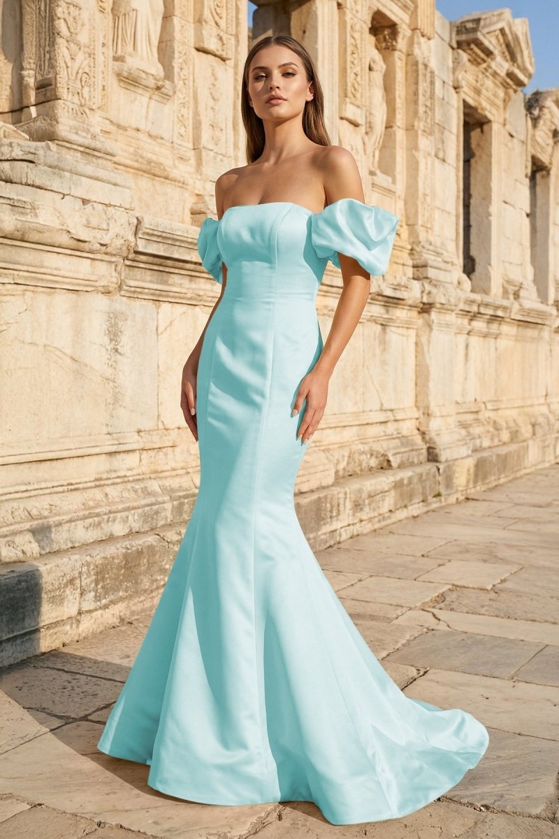 KissProm Yellow Satin Off-the-Shoulder Mermaid Pleated Long Formal Prom Dress with Sleeves, Sky Blue / 16