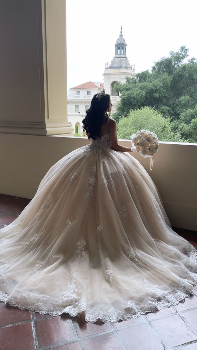 Lace Appliques Ball Gown V-Neck Quinceanera Dress