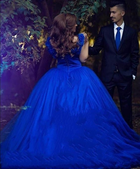 Quinceanera Dress Princess Tulle Royal Blue Wedding Dresses Flowers Off The Shoulder