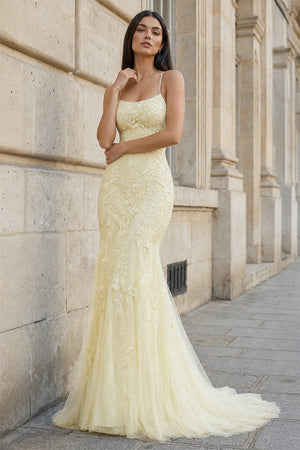 Mermaid Spaghetti Straps Lace Prom Dress - KissProm