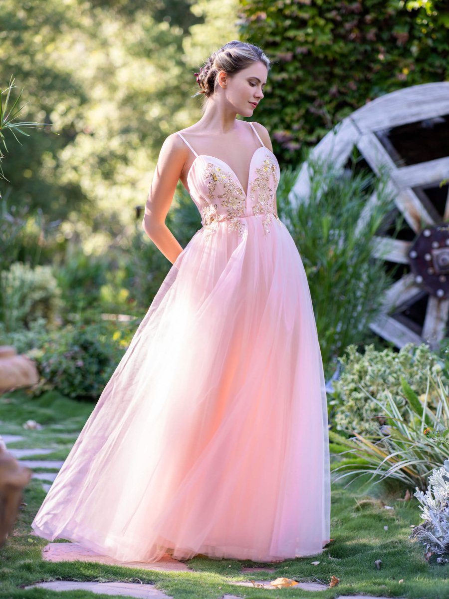 A-line Deep V Neckline Applique Tulle Prom Dress 2025 Prom